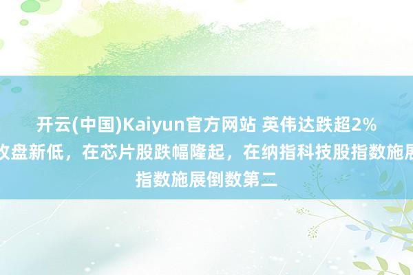 开云(中国)Kaiyun官方网站 英伟达跌超2%创一个月收盘新低，在芯片股跌幅隆起，在纳指科技股指数施展倒数第二