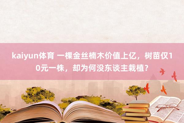 kaiyun体育 一棵金丝楠木价值上亿，树苗仅10元一株，却为何没东谈主栽植？