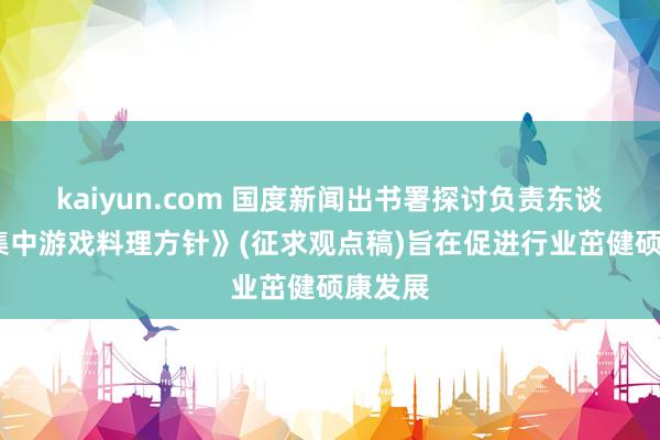 kaiyun.com 国度新闻出书署探讨负责东谈主:《集中游戏料理方针》(征求观点稿)旨在促进行业茁健硕康发展